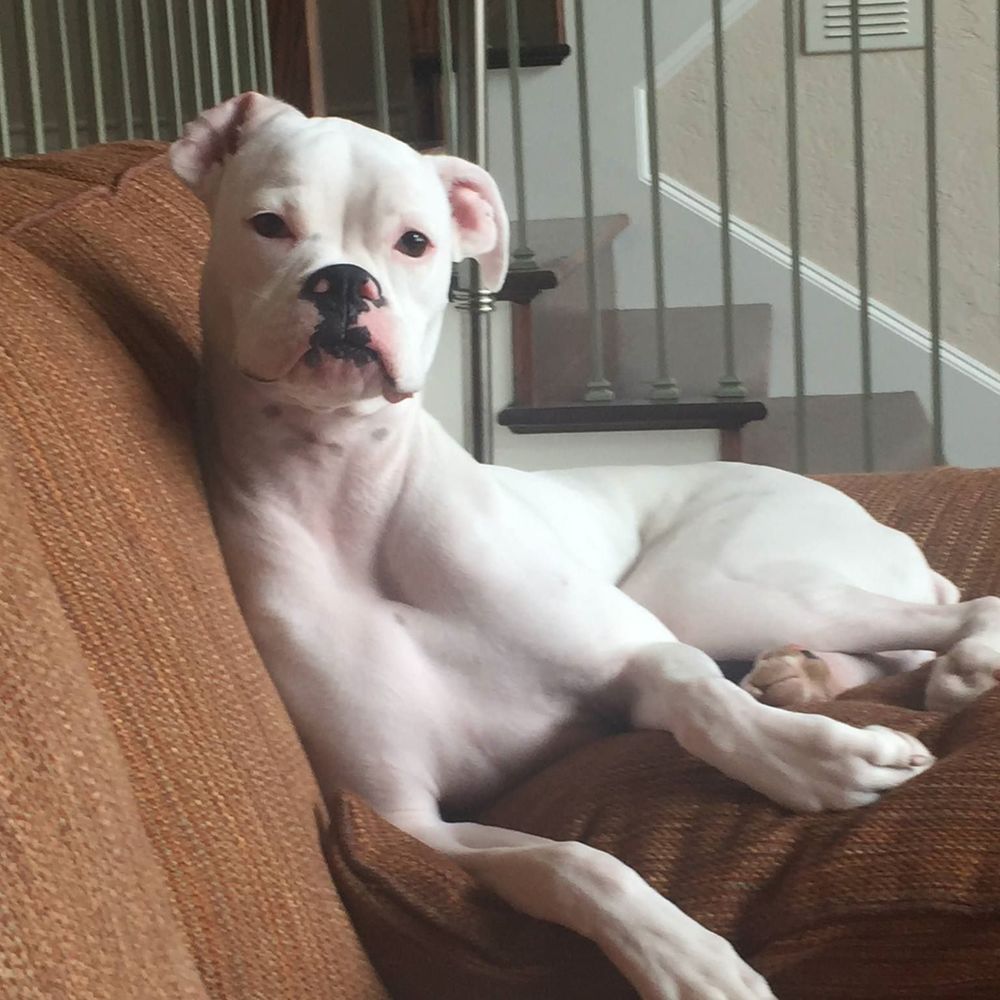 Meet your Posher, Maggie ayres